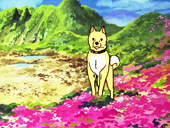 山に輝くガイド犬平治号