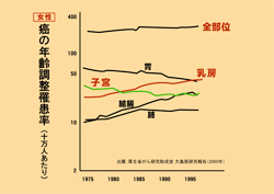 女性の癌の年齢調整罹患率